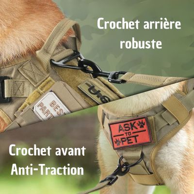 Harnais anti traction chien | WalkGuard™
