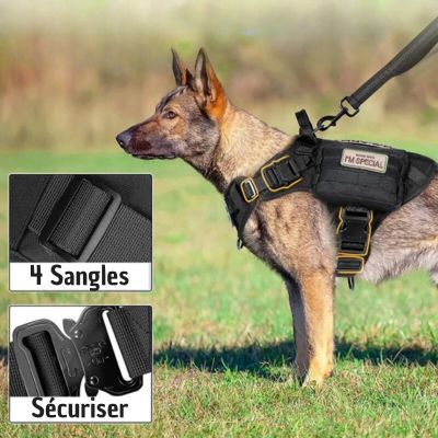 Harnais anti traction chien | WalkGuard™