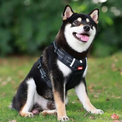 Harnais anti traction chien | StrideControl™