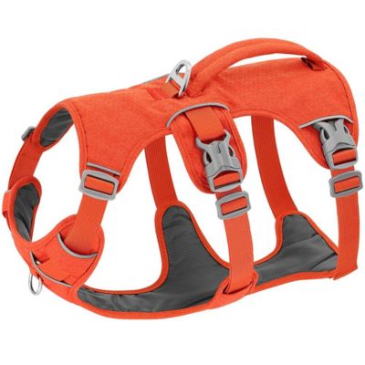 Harnais anti traction chien | TractiFree™
