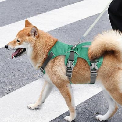 Harnais anti traction chien | TractiFree™