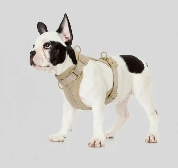 Harnais Anti-Traction En Nylon Pour Chien