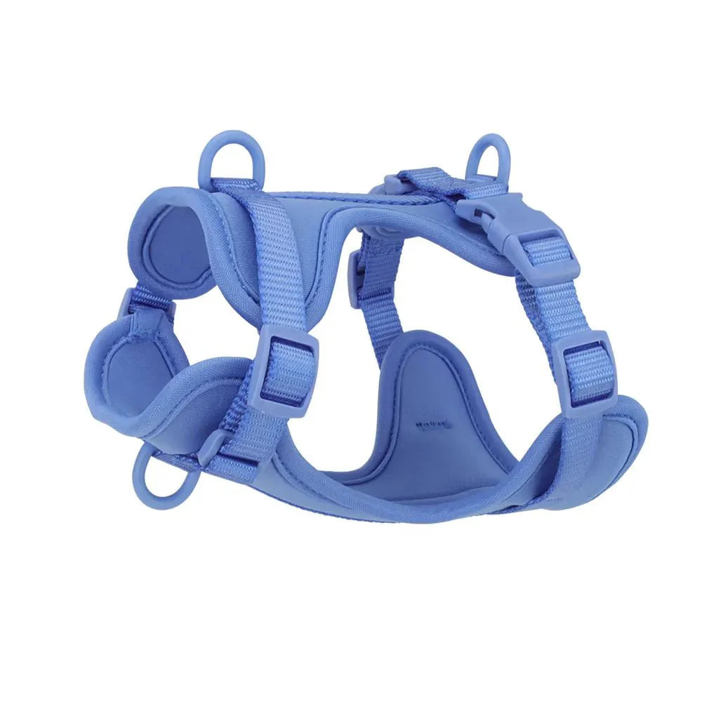 Harnais anti-traction pour chien en bleu, conçu pour le confort et le contrôle lors des promenades