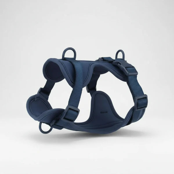 Harnais anti-traction pour chien en bleu marine avec boucles réglables et anneaux solides