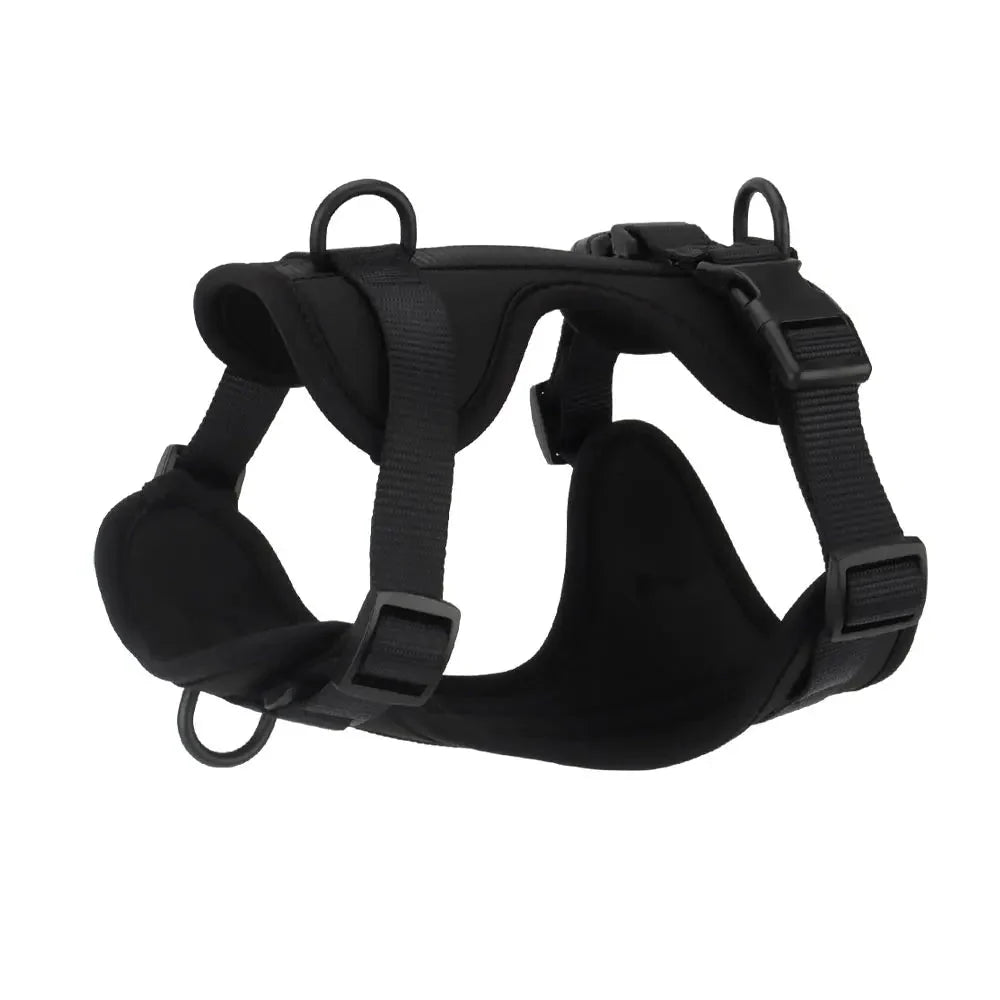 Harnais anti-traction pour chien Oscar et Plume en noir, conçu pour le confort et un meilleur contrôle