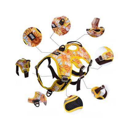 HARNAIS ANTI TRACTION – DOGSAFE™