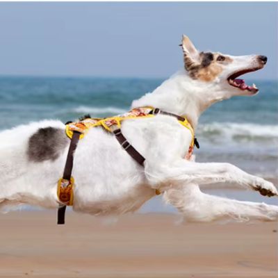 HARNAIS ANTI TRACTION – DOGSAFE™