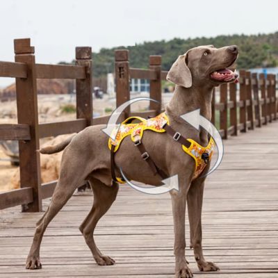HARNAIS ANTI TRACTION – DOGSAFE™