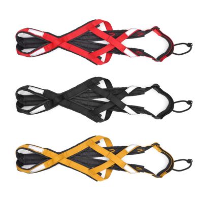 Harnais canicross | Canitrail™