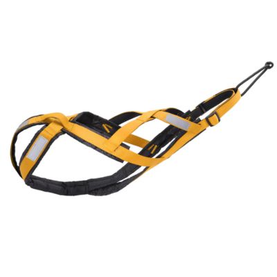 Harnais canicross | Canitrail™