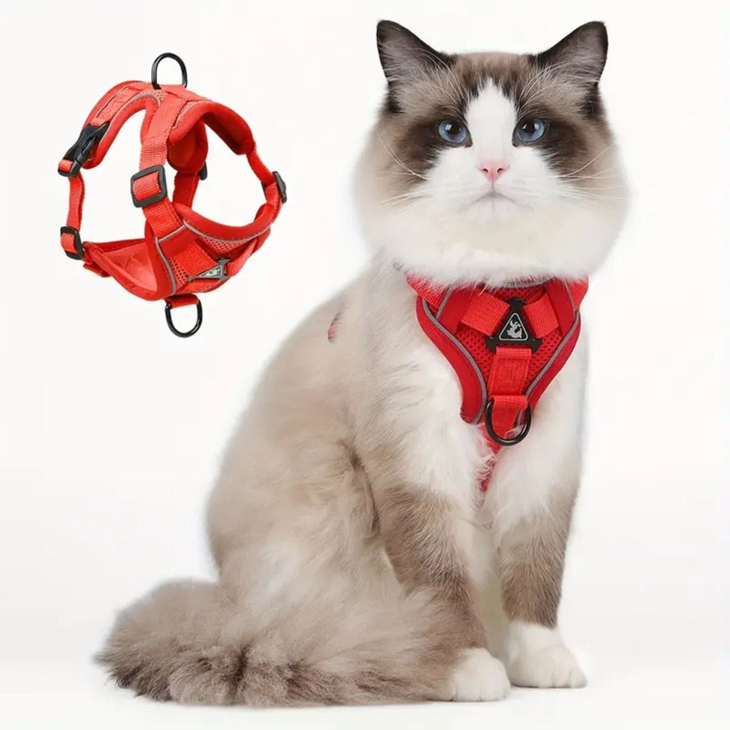 harnais chat anti-fugue | CATWALKS