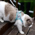 harnais-chat-anti-fugue-explorer-harness