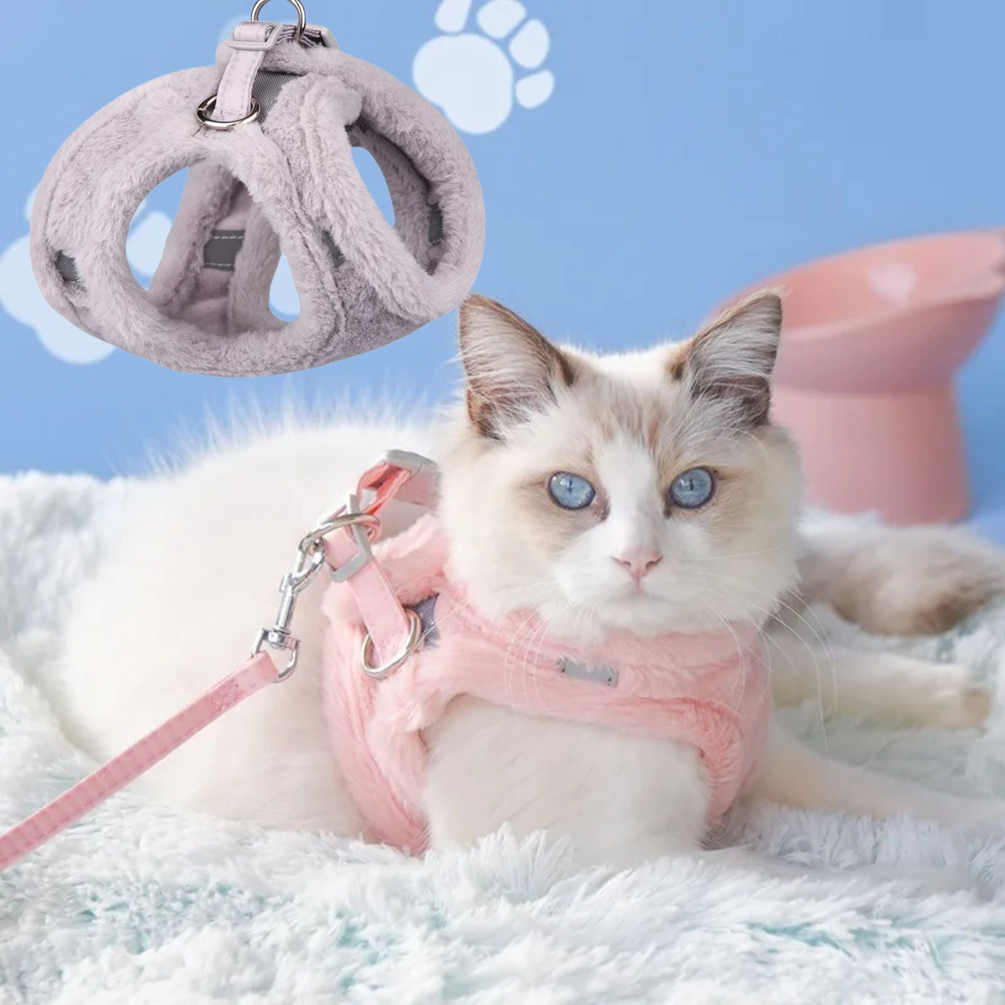 harnais-chat-gris-hiver