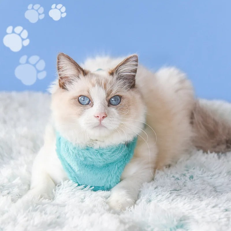 harnais chat | WINTERHARNESS