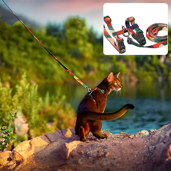 harnais chat multicolore