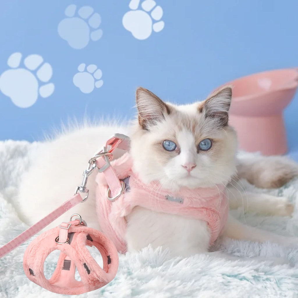 harnais-chat-rose-hivers