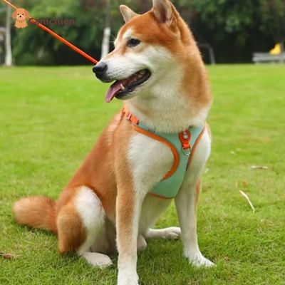 Harnais chien anti traction | PupControl™