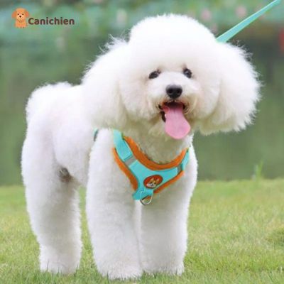 Harnais chien anti traction | PupControl™