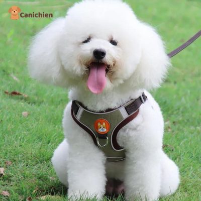 Harnais chien anti traction | PupControl™