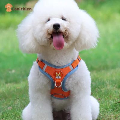 Harnais chien anti traction | PupControl™
