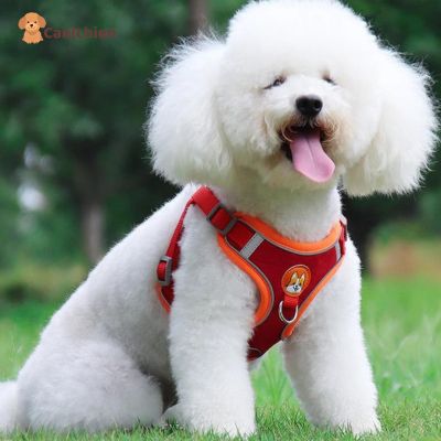 Harnais chien anti traction | PupControl™