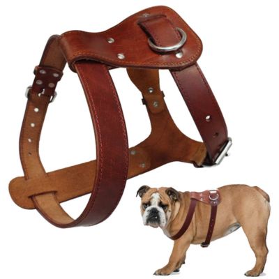 HARNAIS CHIEN CUIR - DOGUECUIR™