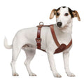 harnais-chien-cuir-brun-en-h-petit-chien