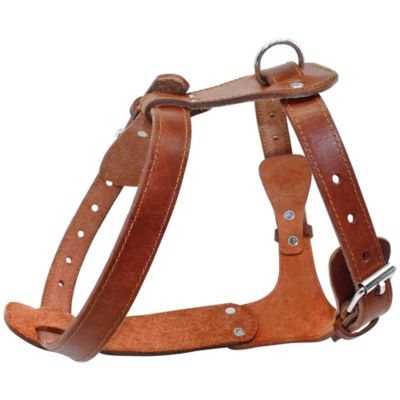 HARNAIS CHIEN CUIR - DOGUECUIR™