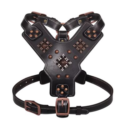 HARNAIS CHIEN CUIR - STRONGLEAD™