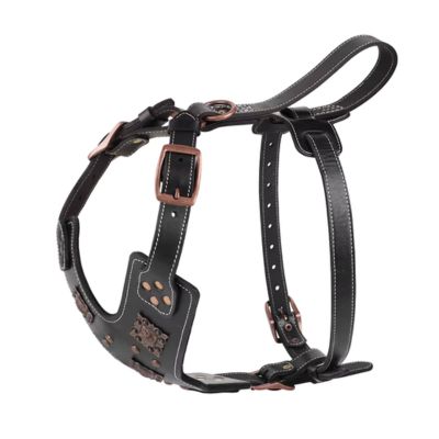 HARNAIS CHIEN CUIR - STRONGLEAD™