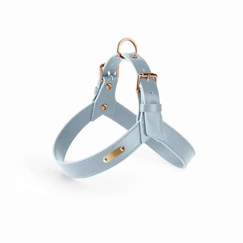 Harnais chien simili cuir bleu avec des détails dorés pour un look élégant et confortable