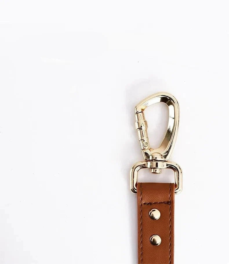 Harnais Et Laisse En Simili Cuir Pour Chien