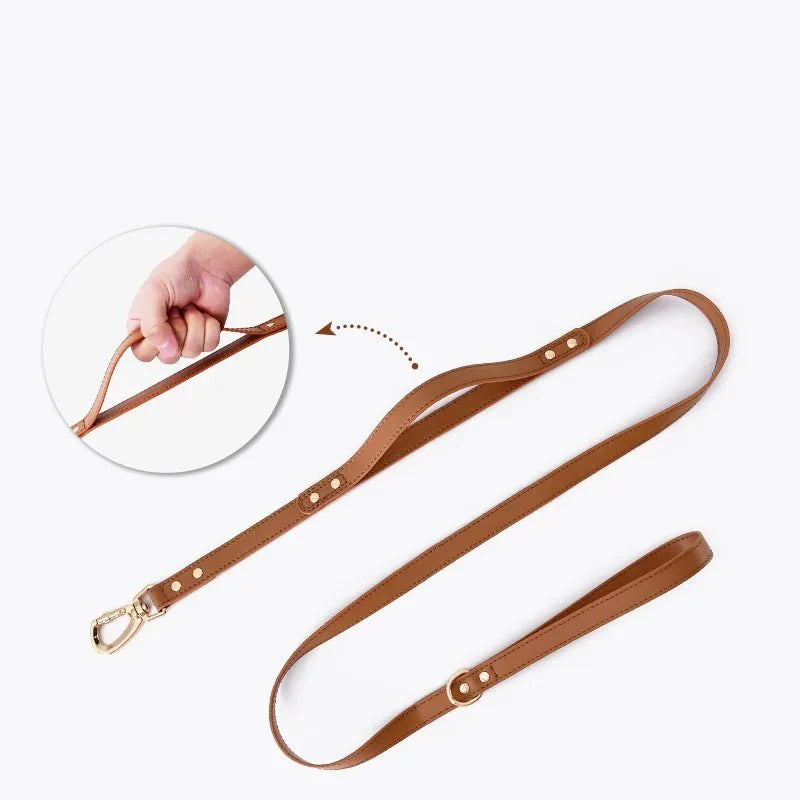 Ensemble Harnais Et Laisse Pour Chien - Les Bonnes Affaires
