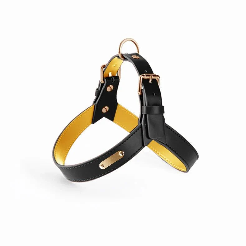 Harnais chien simili cuir noir avec doublure jaune et finition dorée, design élégant et confortable