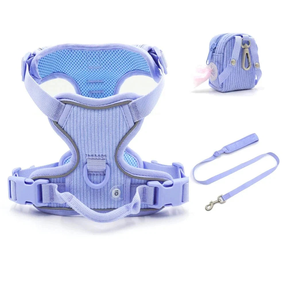 Harnais chien velours bleu clair avec laisse assortie et petite pochette par Oscar et Plume