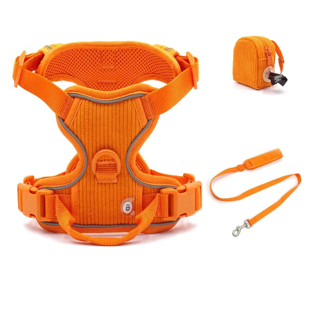 Harnais chien velours orange avec laisse assortie et sac à déjections Oscar et Plume