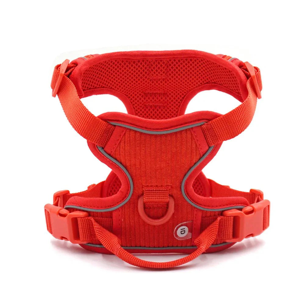 Harnais chien velours rouge de la marque Oscar et Plume avec sangles ajustables et design confortable