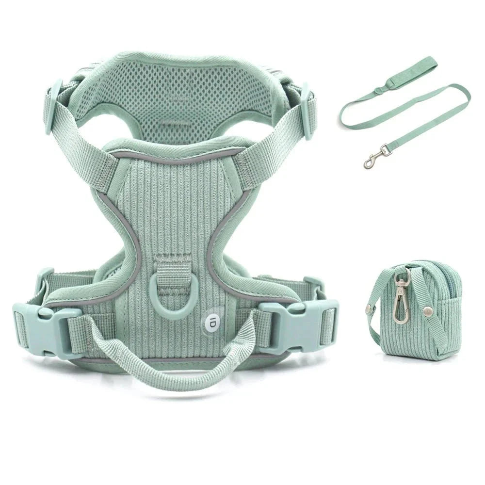 Harnais chien velours vert menthe avec laisse assortie et petite pochette par Oscar et Plume