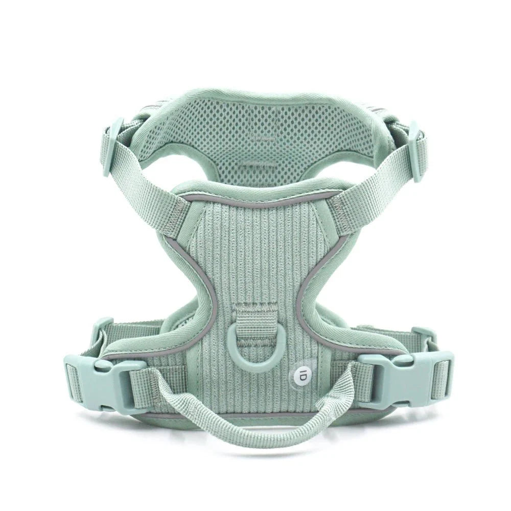 Harnais chien velours vert menthe avec sangle ajustable et boucle sécurisée de Oscar et Plume