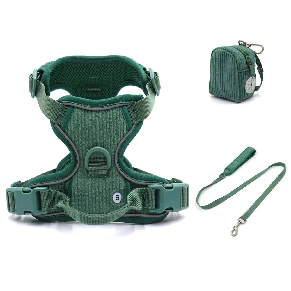 Harnais chien velours vert avec laisse et sac de rangement assorti de la marque Oscar et Plume