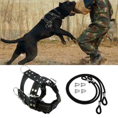 HARNAIS DE TRACTION CHIEN – POWERPULL™