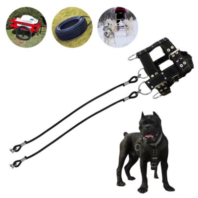 harnais-de-traction-chien-noir-tirage