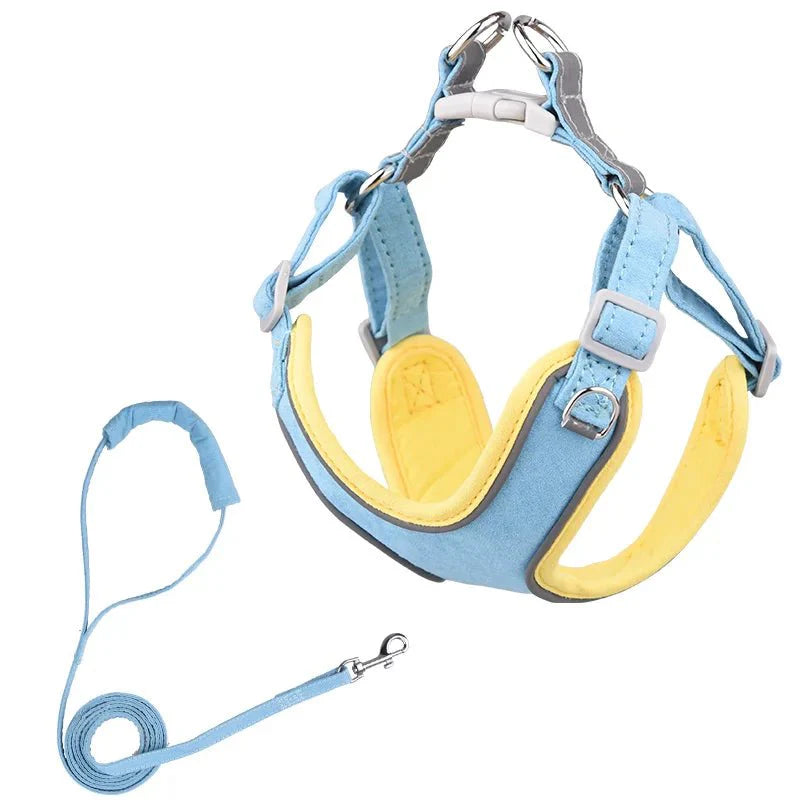 Harnais et laisse chien résistant bleu et jaune avec rembourrage doux pour confort et sécurité