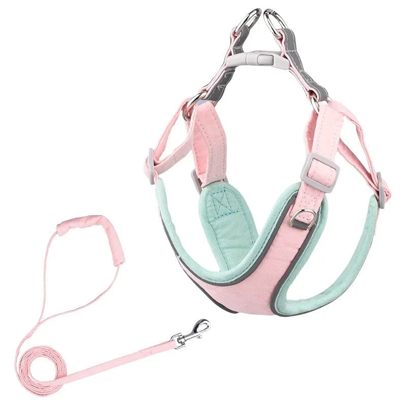 Harnais et laisse chien résistant rose et vert pastel pour promenade sécurisée et confortable