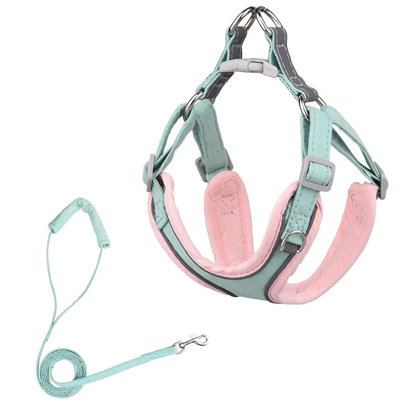 Harnais et laisse chien résistant bleu et rose avec rembourrage doux confortable pour promenade