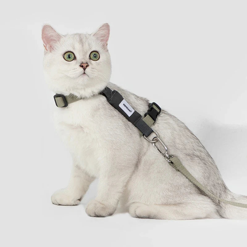 Ensemble Harnais Et Laisse Pour Chat