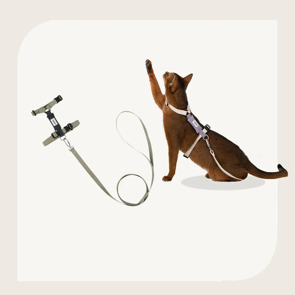 Harnais et laisse pour chat Oscar et Plume en beige, idéal pour les promenades sécurisées