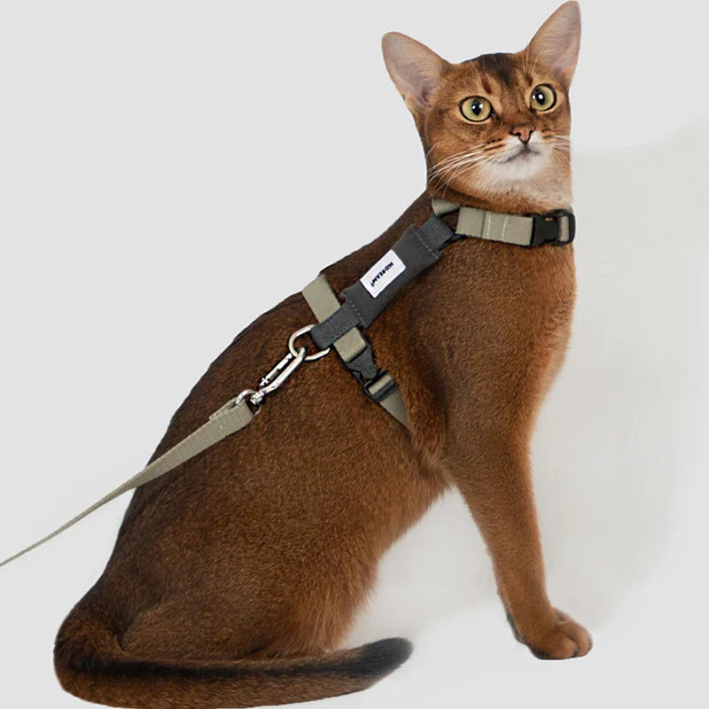 Ensemble Harnais Et Laisse Pour Chat