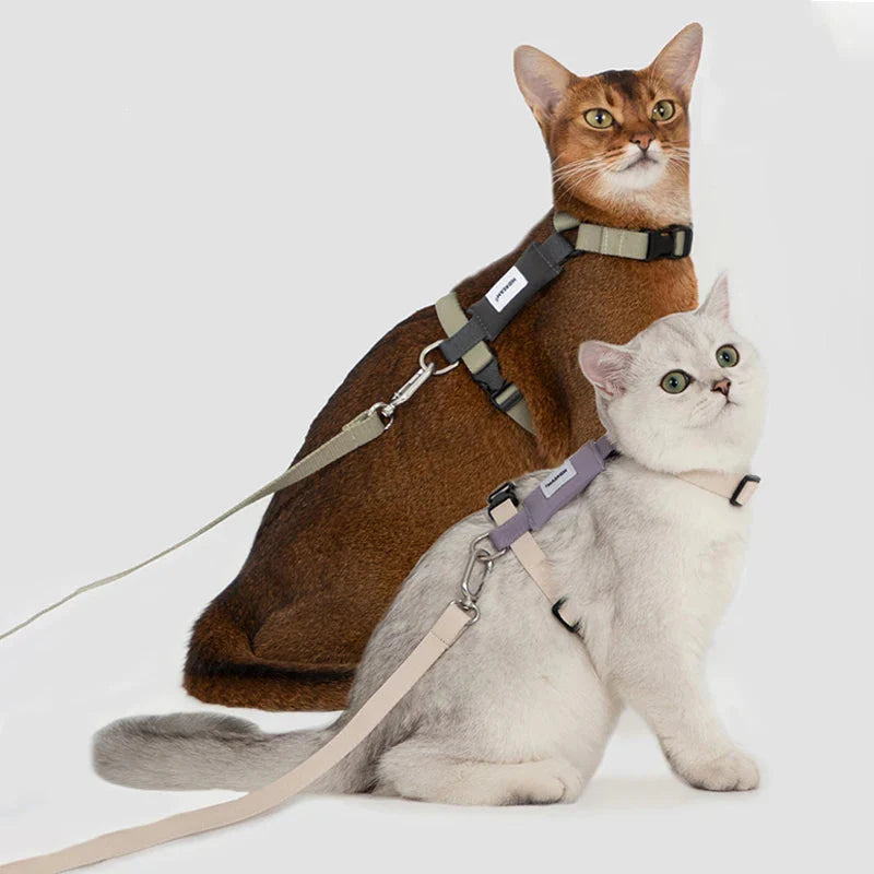 Ensemble Harnais Et Laisse Pour Chat