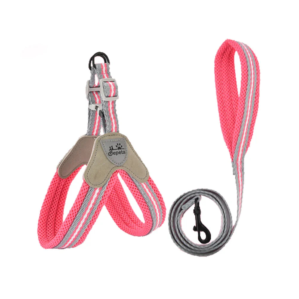 Harnais et laisse pour chien en maille rose et grise, confortable et respirant pour les promenades